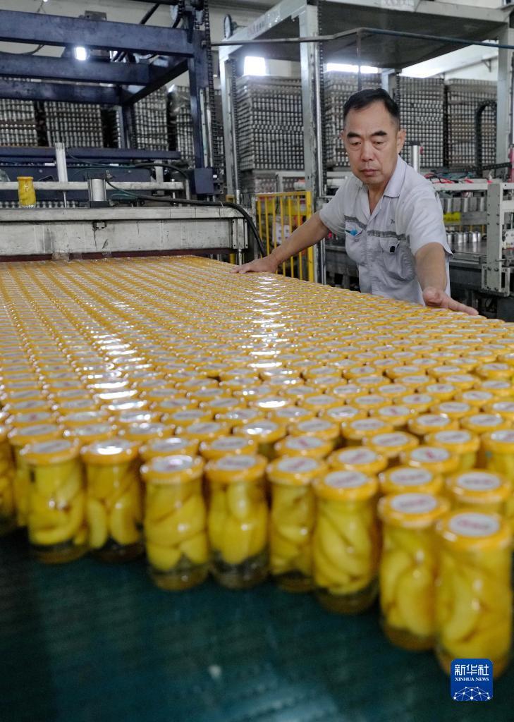 大豪客开奖平台